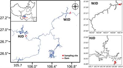 Vertical Distribution of Bacterial Community in Water Columns of Reservoirs With Different Trophic Conditions During Thermal Stratification